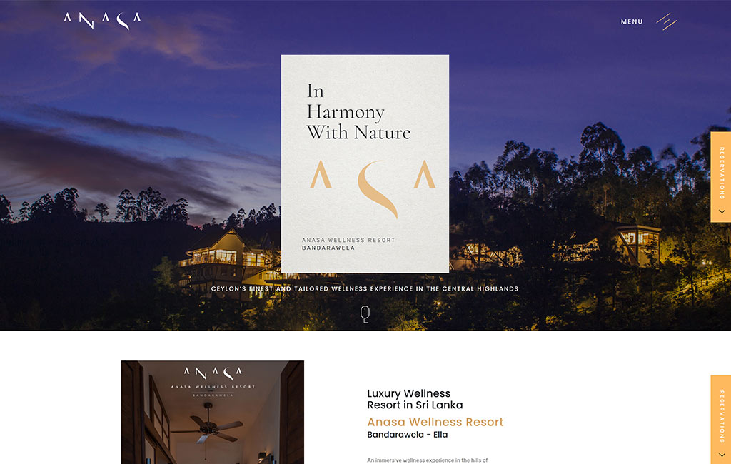Anasa website design