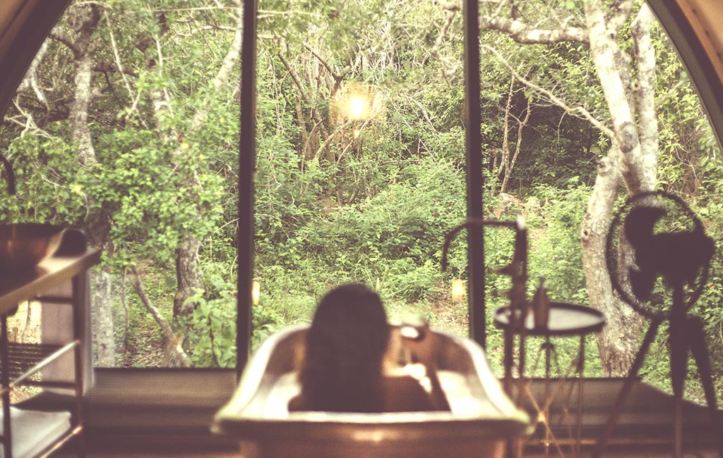 A forest view from a resort in Sirlanka