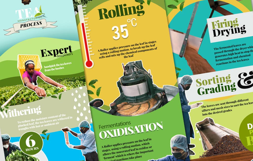 Zesta Tea Manufacturing Infographic